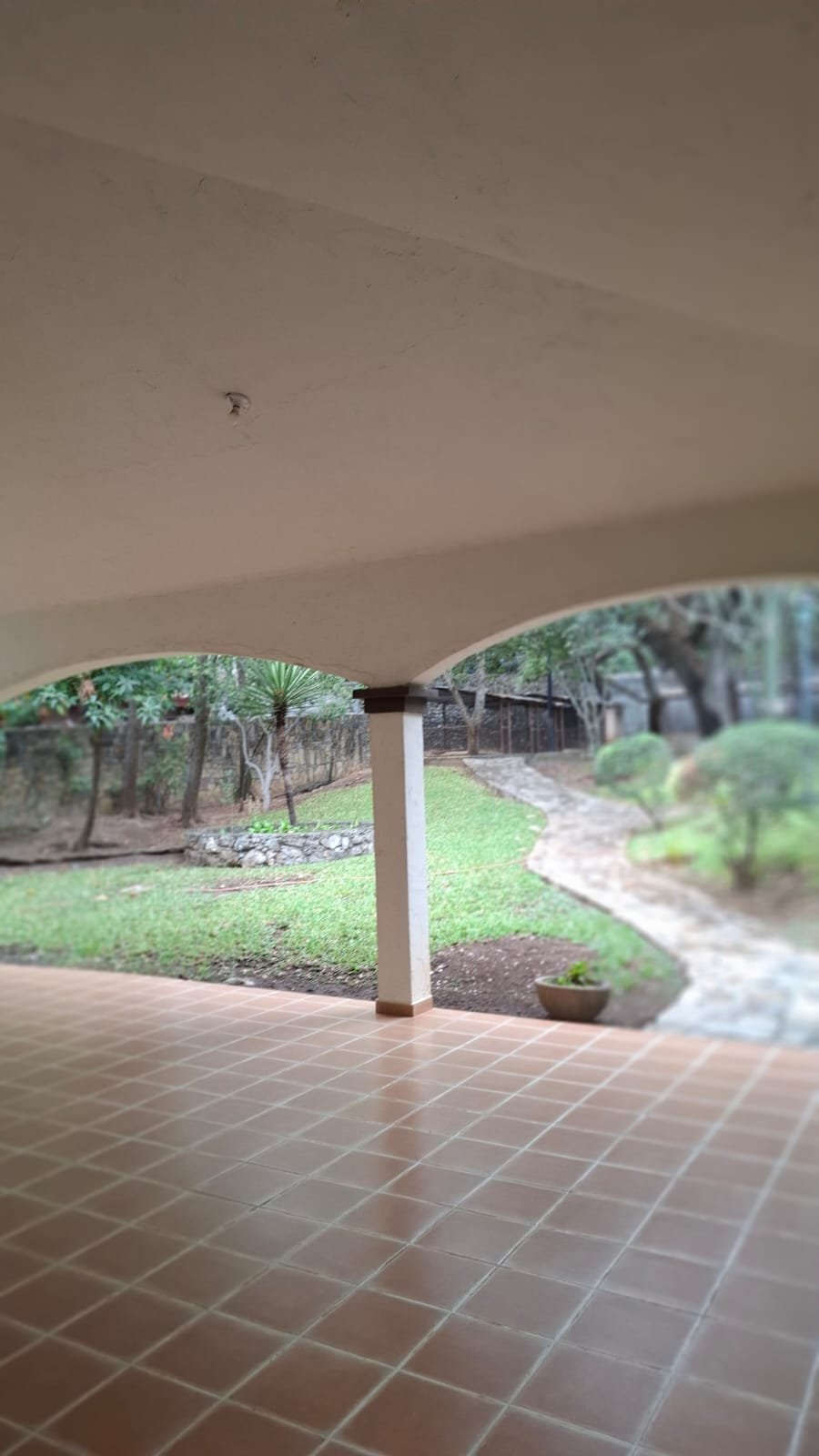 Palapa y asador