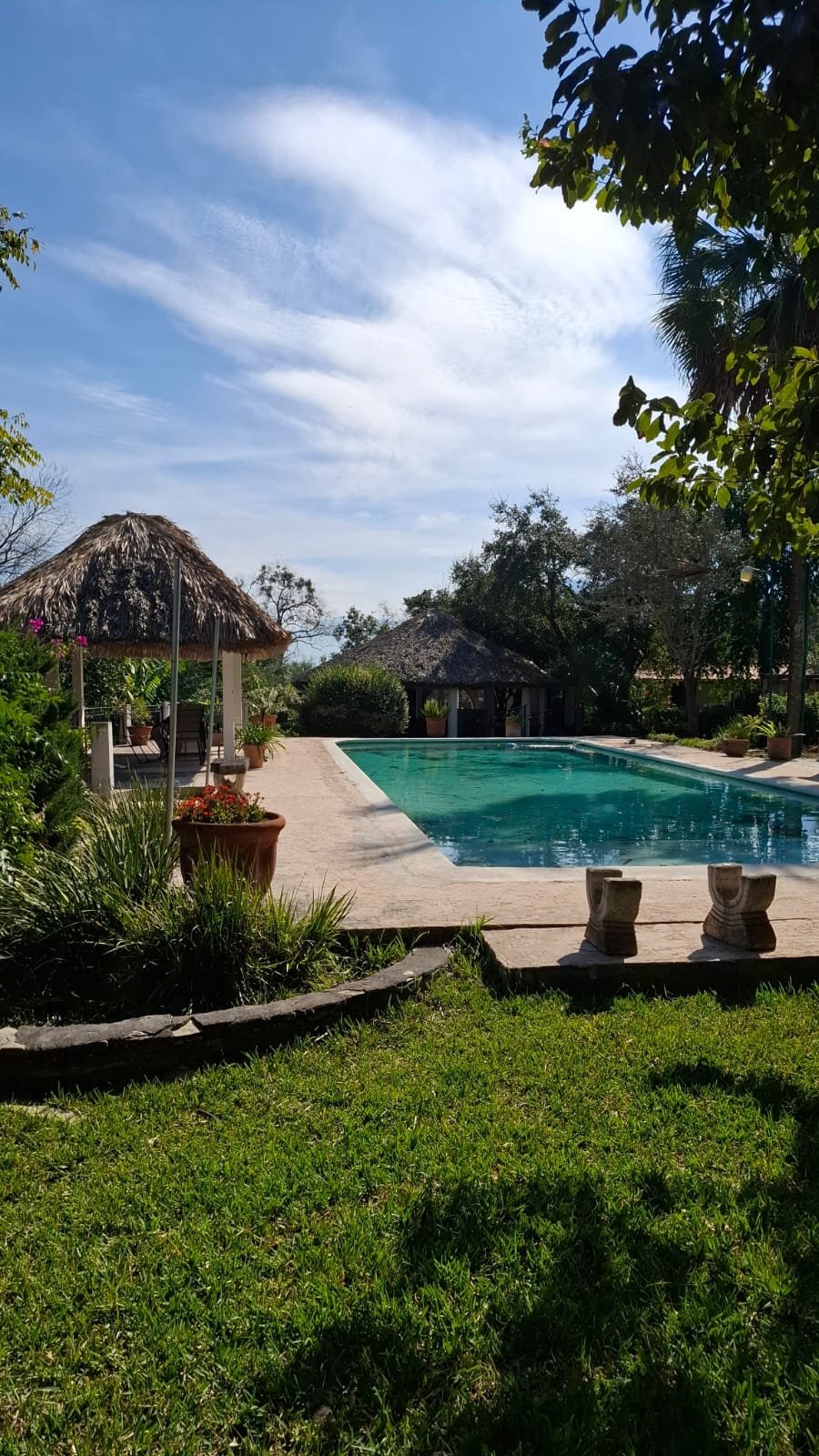 Jardines de diseño y terreno arbolado