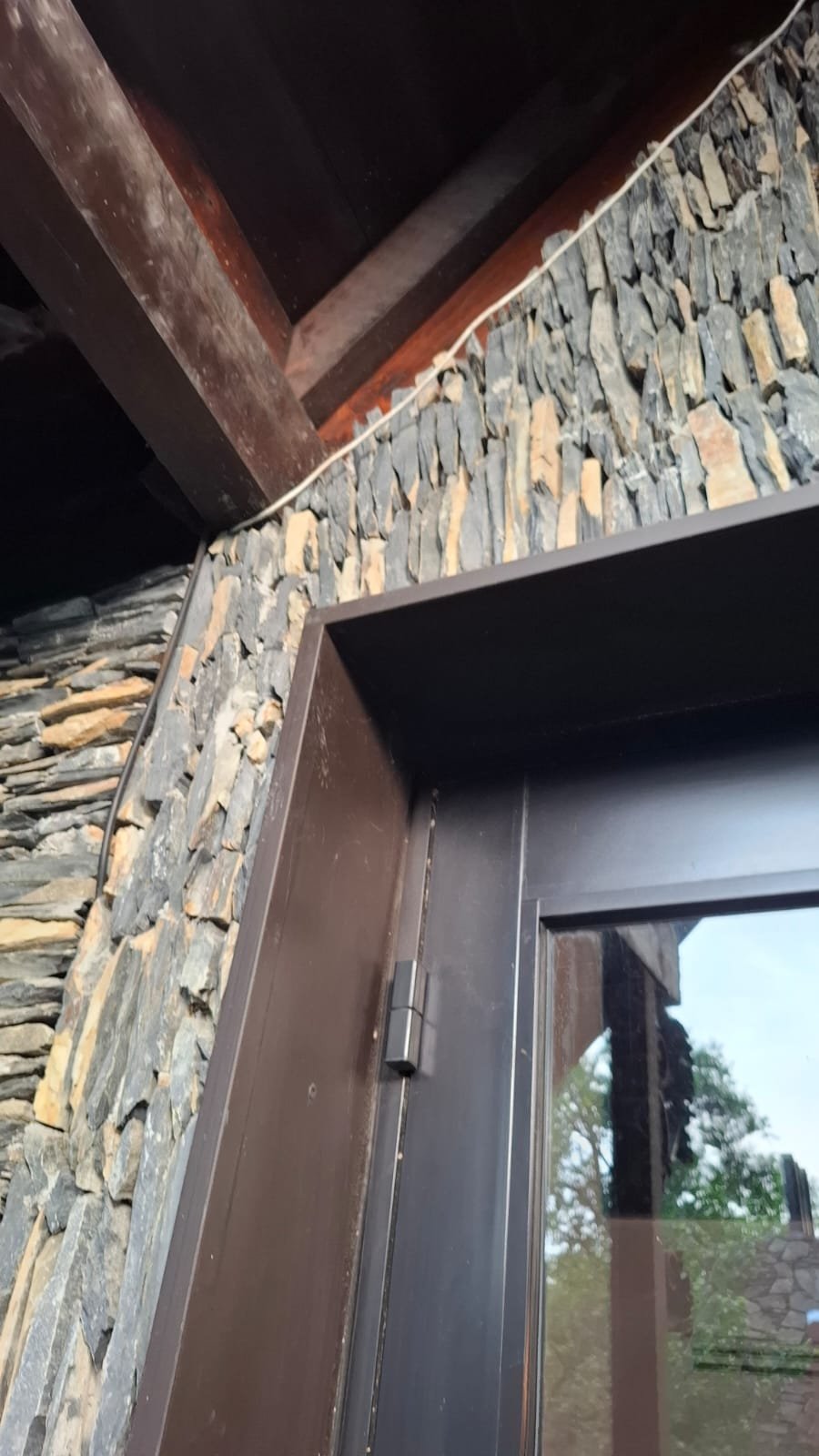 Alberca y zona arbolada