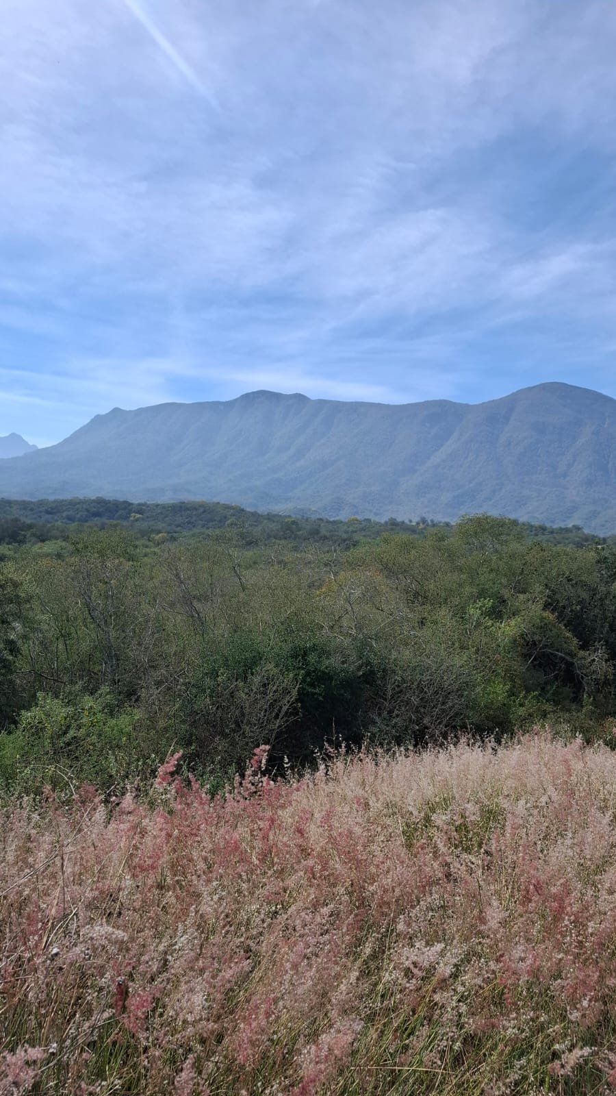 Terrenos campestres en Lazarillos, Allende