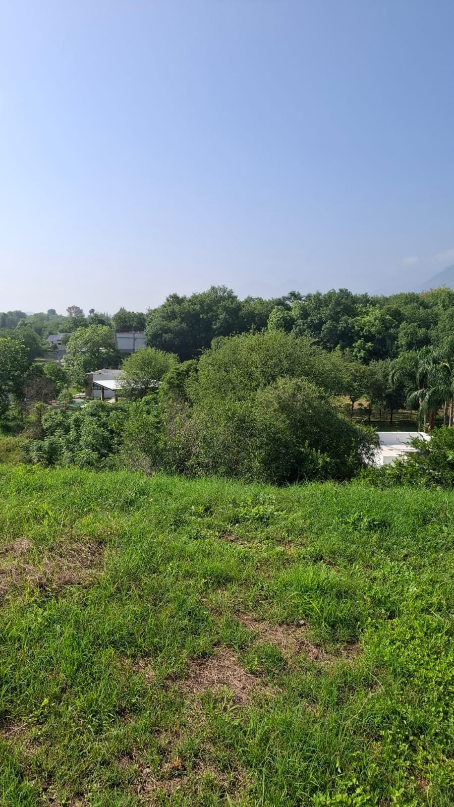 Terreno en zona de quintas, La Leona / Los Cavazos